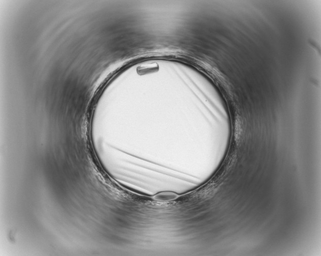 X0000100201412200806271631