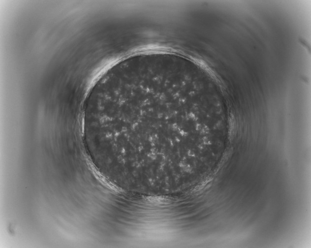 X0000100201413200806271631