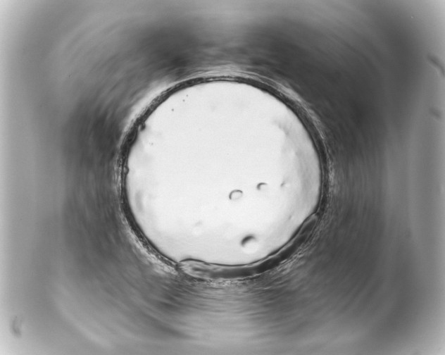 X0000100201416200806271631