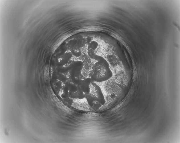 X0000100201417200806271631