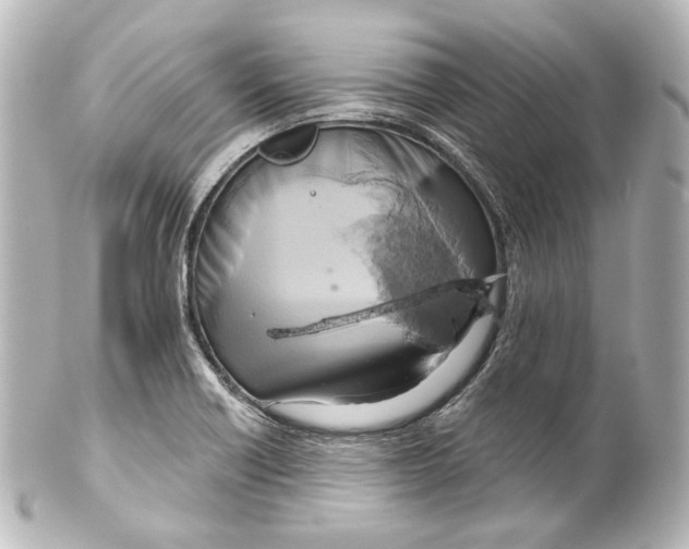 X0000100201418200806271631