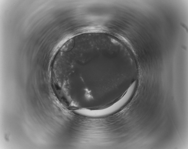 X0000100201419200806271631