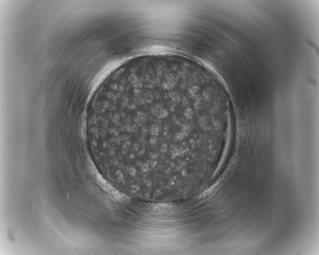 X0000100201421200806271631