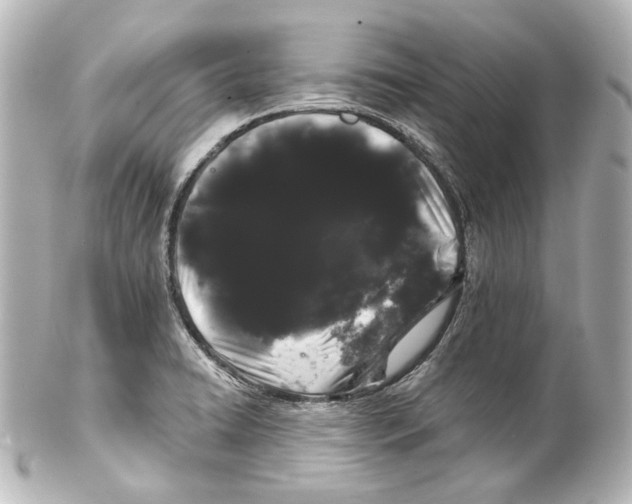 X0000100201422200806271632