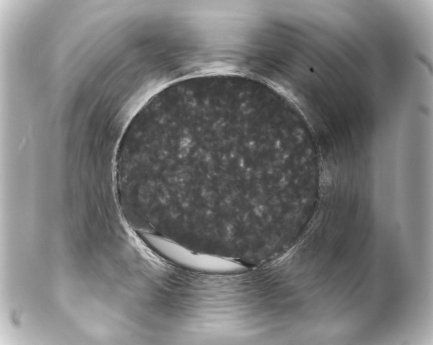 X0000100201423200806271632