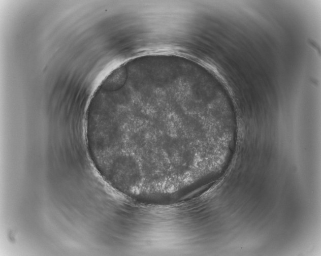 X0000100201424200806271632