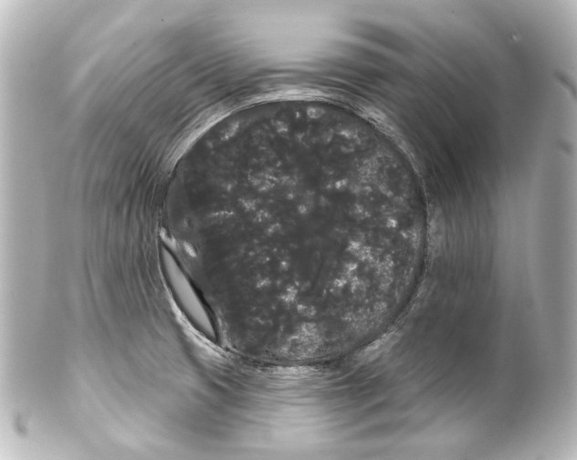 X0000100201425200806271632