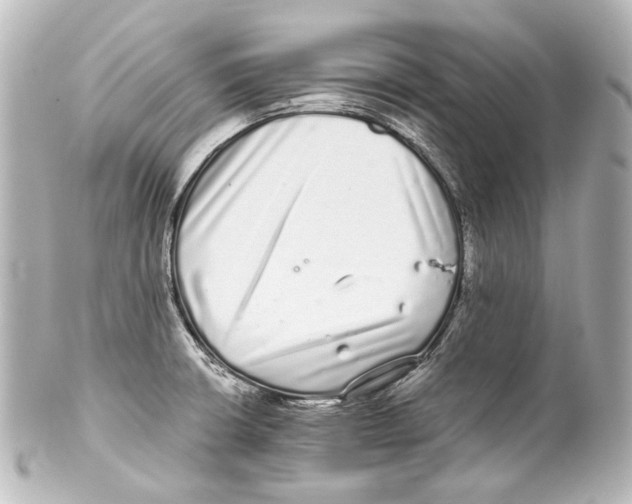 X0000100201426200806271632