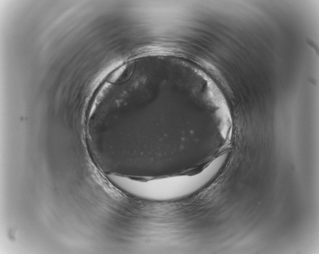 X0000100201427200806271632