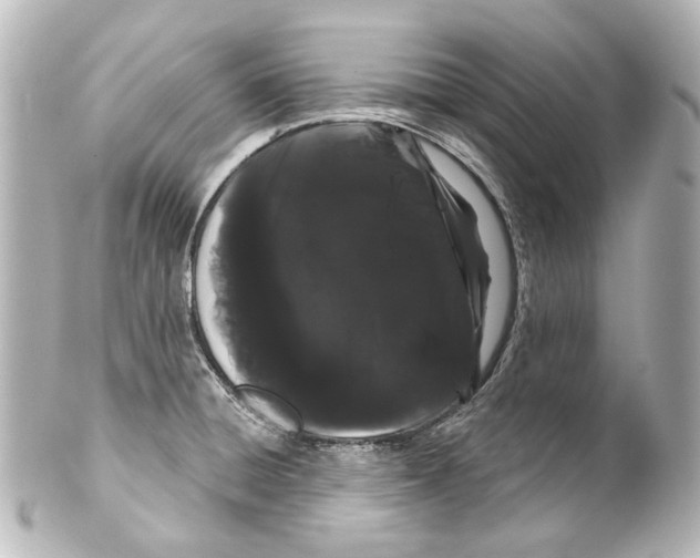 X0000100201428200806271632