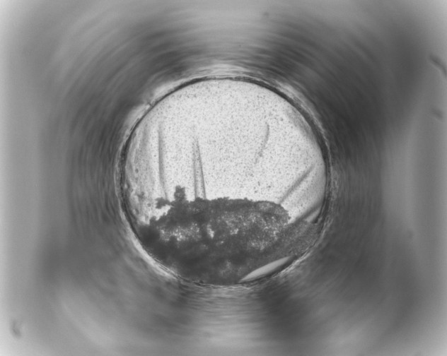 X0000100201429200806271632