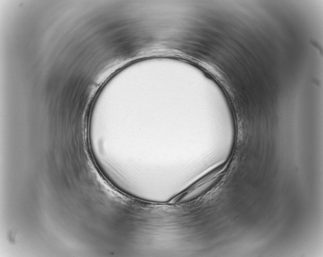 X0000100201430200806271632