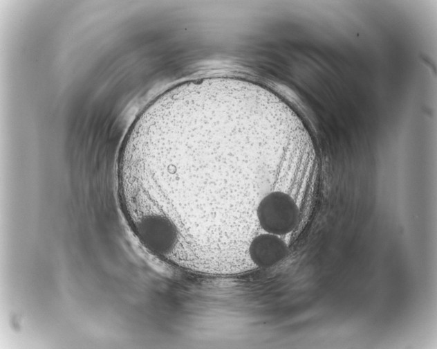 X0000100201431200806271632