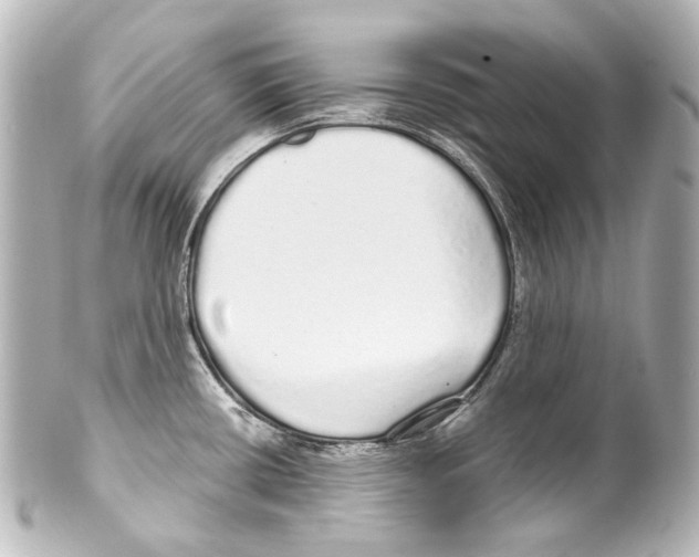 X0000100201434200806271632