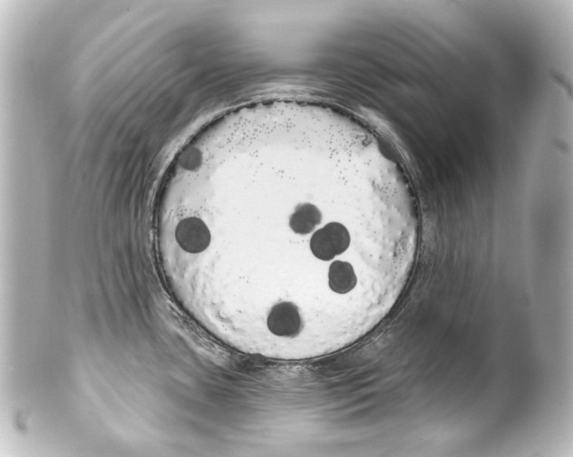 X0000100201435200806271632