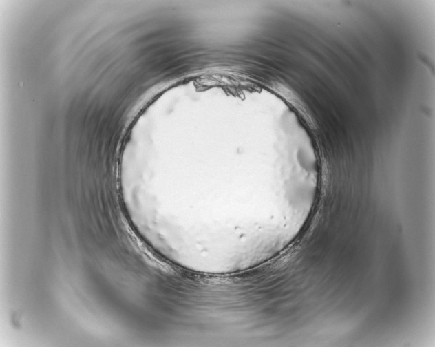 X0000100201436200806271632