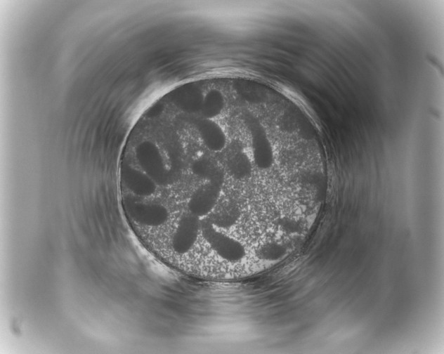 X0000100201439200806271632