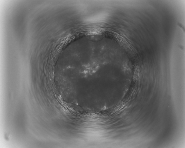 X0000100201441200806271631