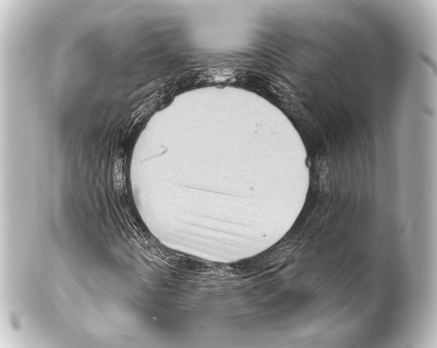 X0000100201442200806271631