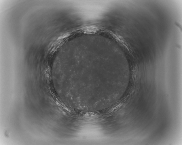 X0000100201445200806271631