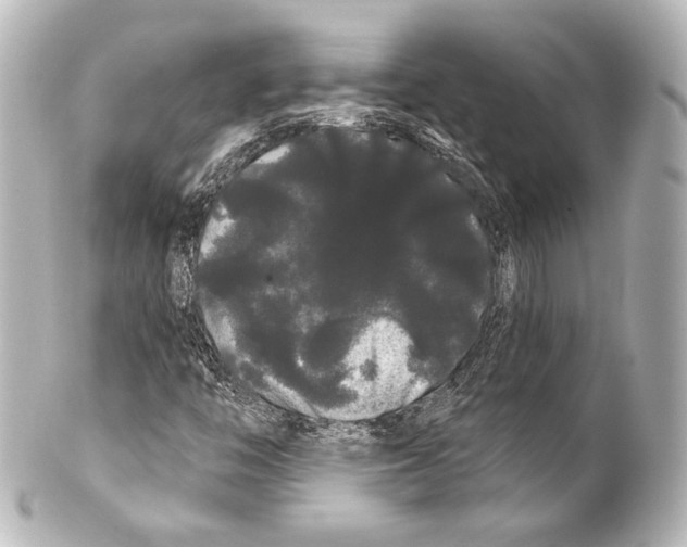 X0000100201446200806271631