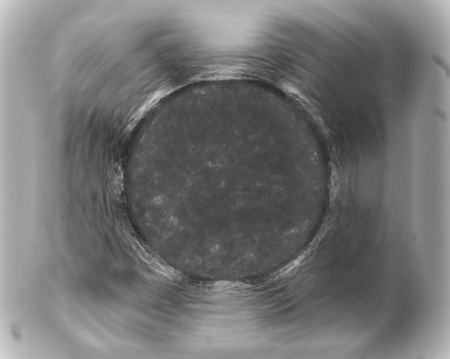 X0000100201449200806271631