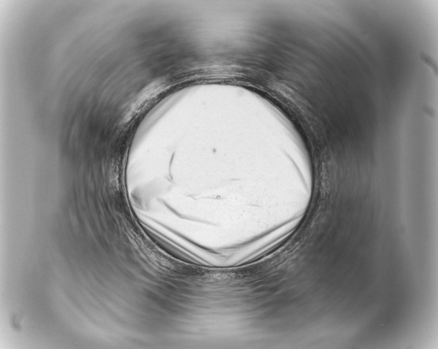 X0000100201451200806271631