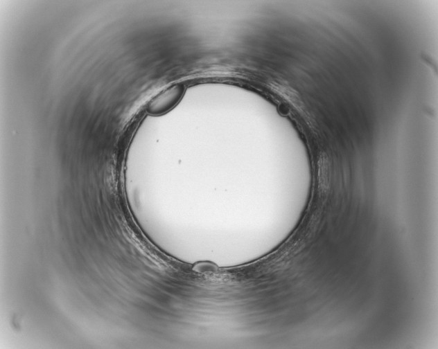 X0000100201452200806271631