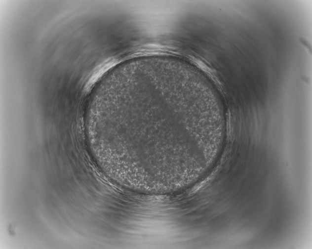 X0000100201453200806271631