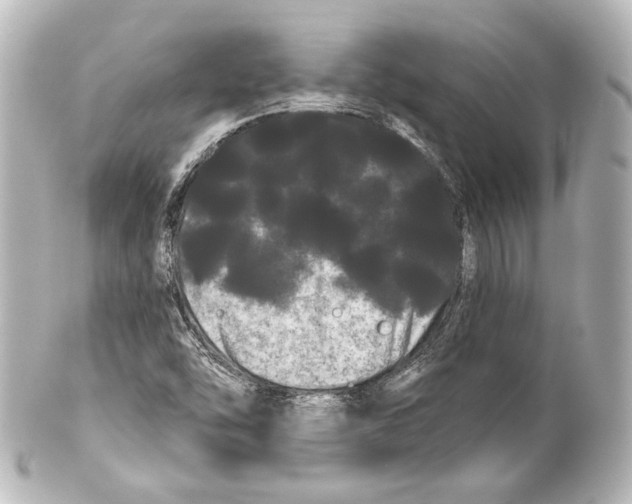 X0000100201454200806271631