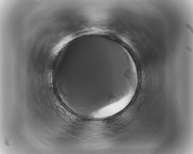 X0000100201455200806271631