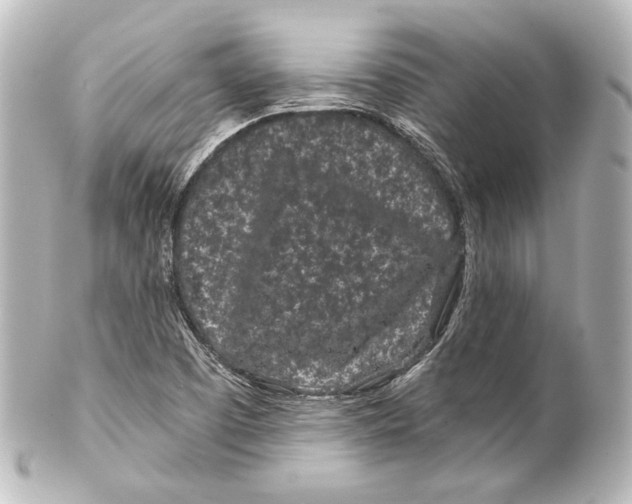 X0000100201457200806271631