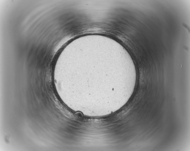 X0000100201458200806271631