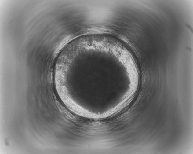 X0000100201459200806271631