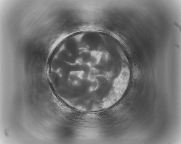 X0000100201462200806271631