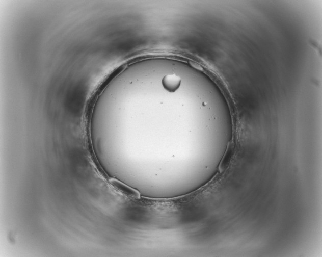 X0000100201464200806271631