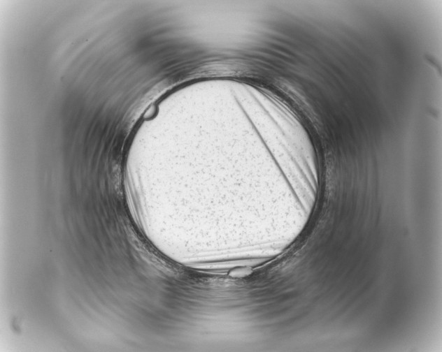 X0000100201465200806271631