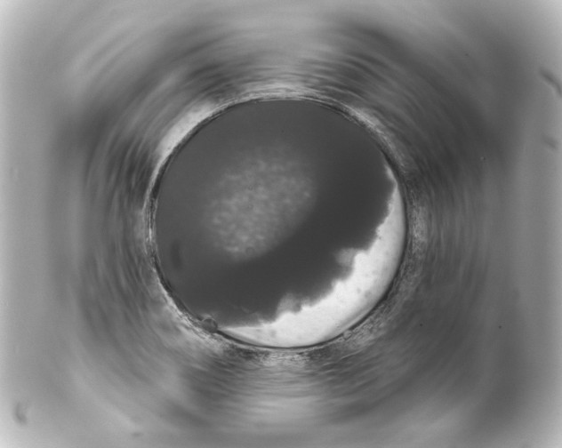 X0000100201466200806271631