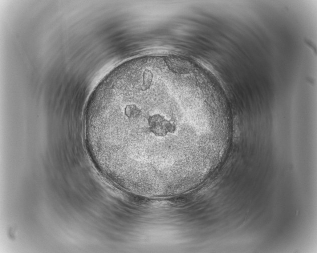 X0000100201467200806271631