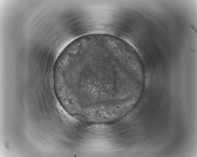 X0000100201468200806271631