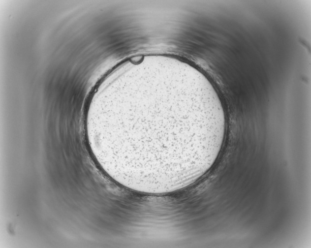 X0000100201469200806271631