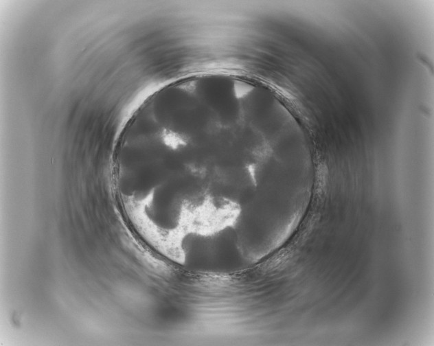 X0000100201470200806271631