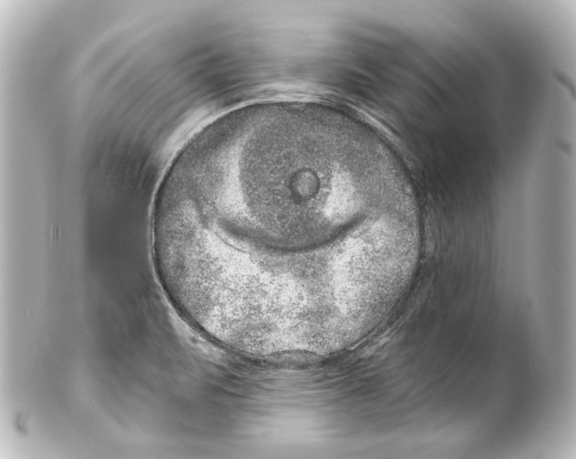 X0000100201471200806271631