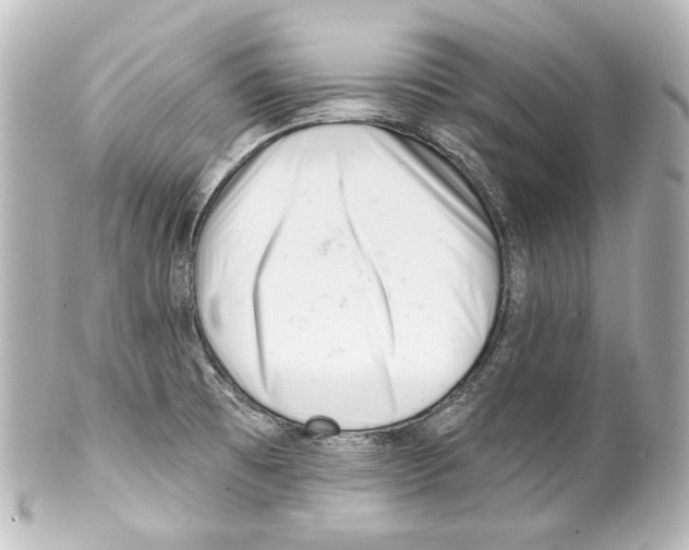 X0000100201473200806271631