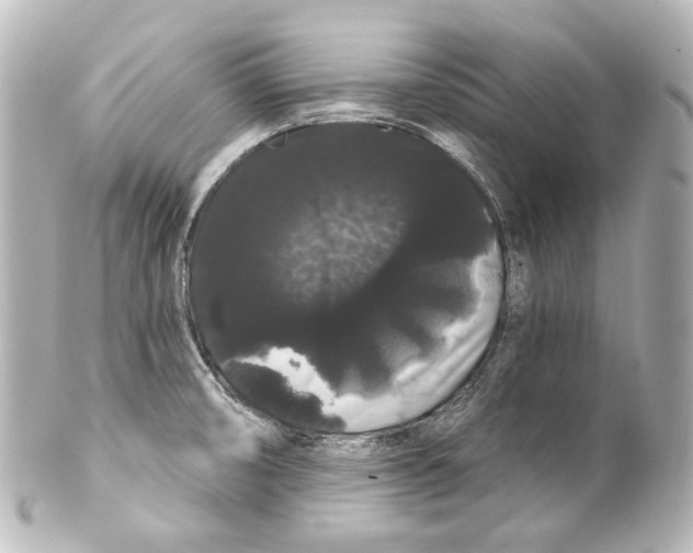 X0000100201474200806271631