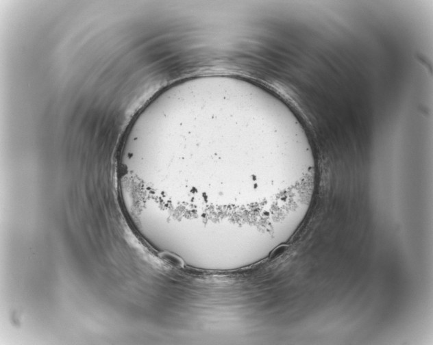 X0000100201476200806271631