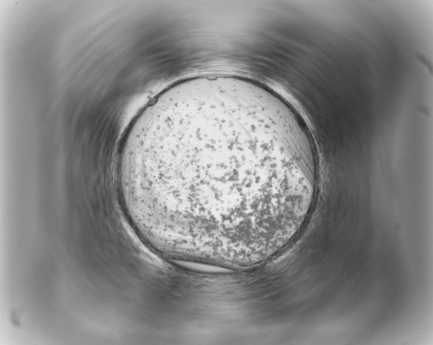 X0000100201477200806271631