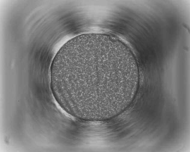 X0000100201479200806271631