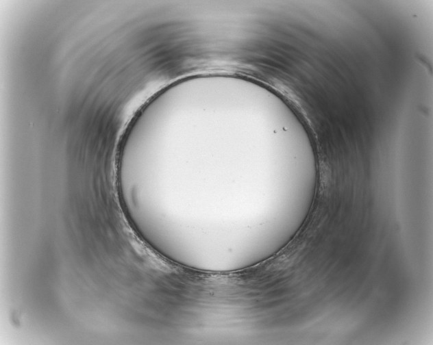 X0000100201480200806271631