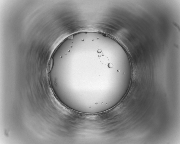 X0000100201484200806271630